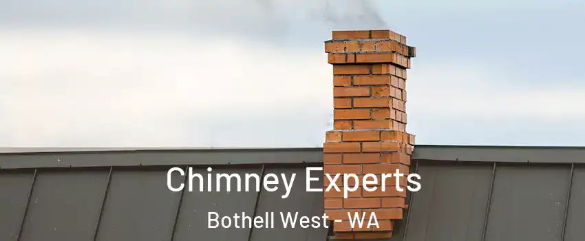 Chimney Experts Bothell West - WA