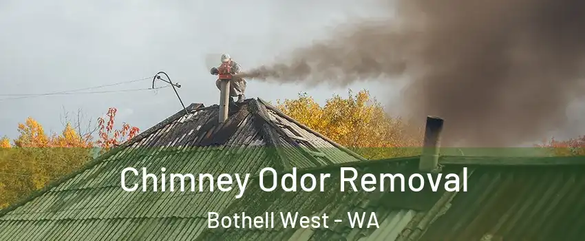  Chimney Odor Removal Bothell West - WA